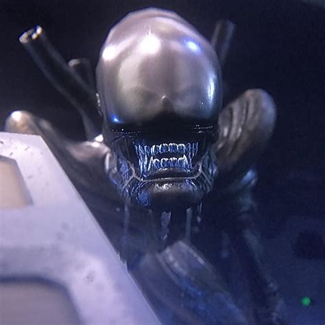 Image result for Alien Isolation Mental Fox 40