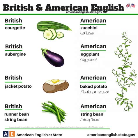 American English Language 的图像结果