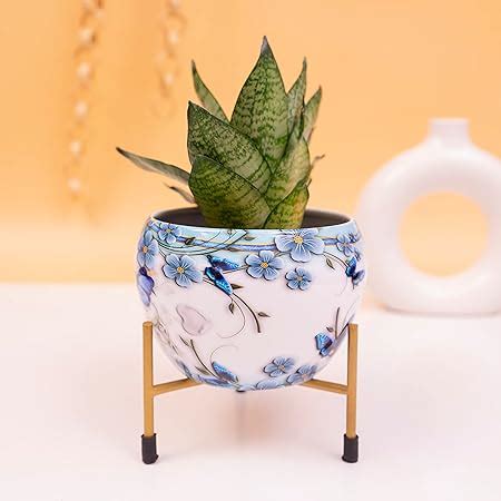 KYARI Beautiful Peacock Feather Print Metal Pot with Stand, Rust-Free ...