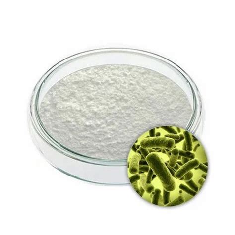 Enzymes & probiotics - Lysozyme Trader - Retailer from Ahmedabad