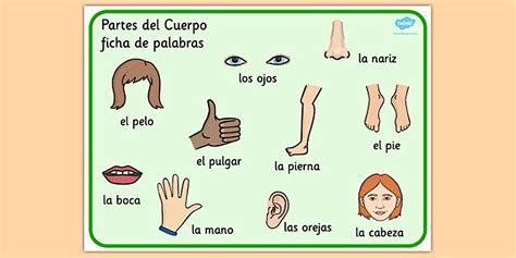 Spanish Parts of the Body Word Mat (teacher made) - Twinkl
