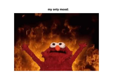 fire elmo Animated Gif Maker - Piñata Farms - The best meme generator ...