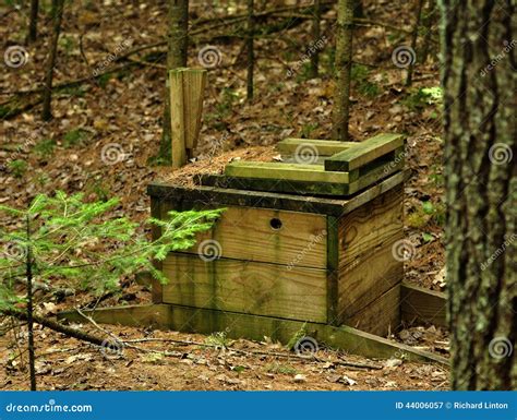 Primitive Toilet Using 的图像结果