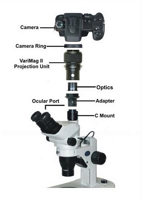 Image result for Microscope Camera Set Up
