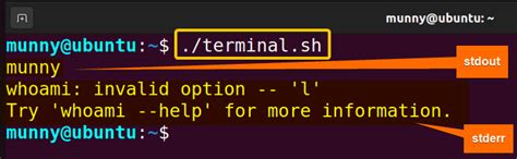 Redirect Stdout in Java 的图像结果
