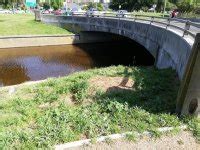 Communitree - Garden maintenance at Tow path with FoL