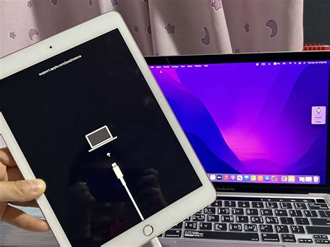 Image result for Reset iPad Using Computer