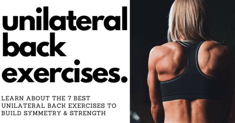 Image result for Multifidus Exercises