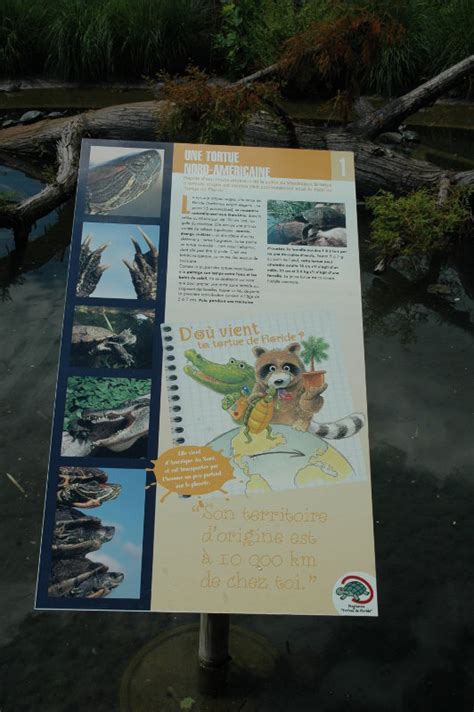 ZooLex Image - Sign 'Turtle biology'