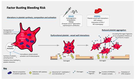 Thromboembolic and Bleeding Risk in Atrial Fibrillation Patients with ...
