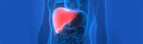 Metabolik Hastalıklar Nelerdir ve Tedavisi Nasıl Yapılır?