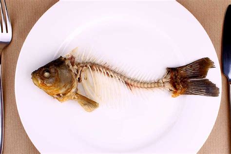 21种常见刺身鱼活鱼,21种常见刺身鱼品种,21种常见刺身鱼_大山谷图库