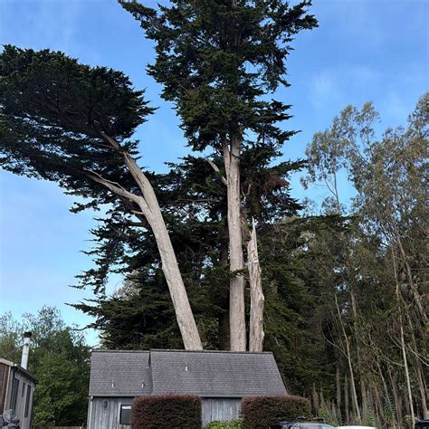 SCP MENDOCINO INN AND FARM - Reviews, Rate Comparison