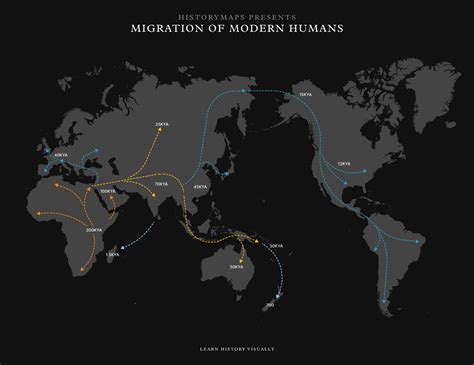 Anatomically Modern Humans 的图像结果