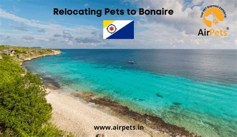 Relocating Pets to Bonaire - Pet Travel Blog | Pet Friendly Travel Blog ...