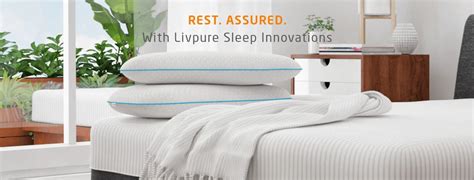 Buy Breeze Cool Gel Memory Foam Pillow Advanced Online in India – Livpure