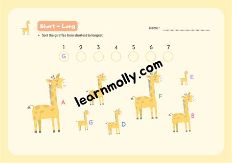 Heavy and Light Worksheets – Ask Molly