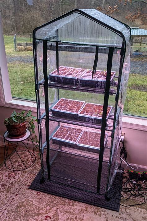My Indoor Seed Starting Set Up + a Brilliant Hack