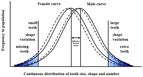Genetic, Epigenetic and Environmental Factors Influence the Phenotype ...