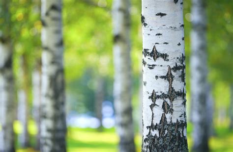 Energy Management Information System (EMIS) | NUS Consulting