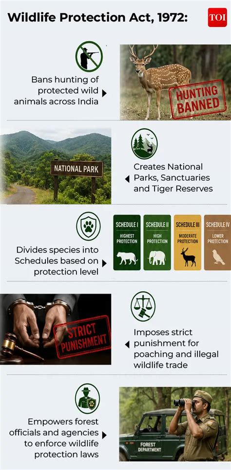 National Endangered Species Day: Can India’s wildlife laws stop the ...