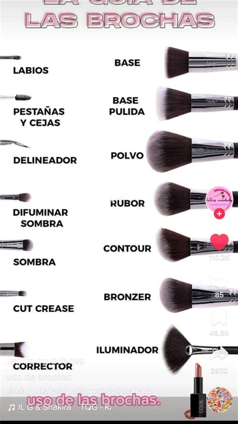 Image result for Basic Makeup Essentials