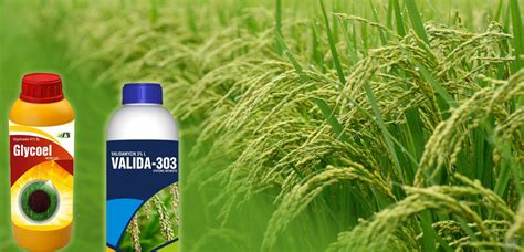 JAY KISHAN | Pesticides,Agrochemicals,Herbicides,Weedicides ...