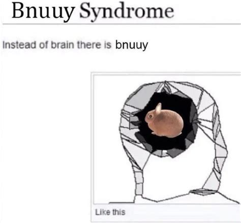 Bnuuy Syndrome Instead of brain there is bnuuy Like this in 2025 ...
