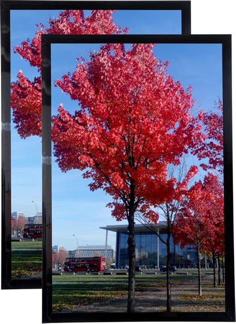 Amazon.com - Medog 11x17 Picture Frame Set of 2,Display Pictures Studio ...