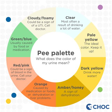 Your child's pee: An ultimate guide - CHOC - Children's Health Hub