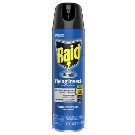 Raid Flying Insect Killer 7, Insecticide Spray with Outdoor Fresh Scent ...