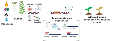 Plant Biotechnology, Climate Change and Sustainability