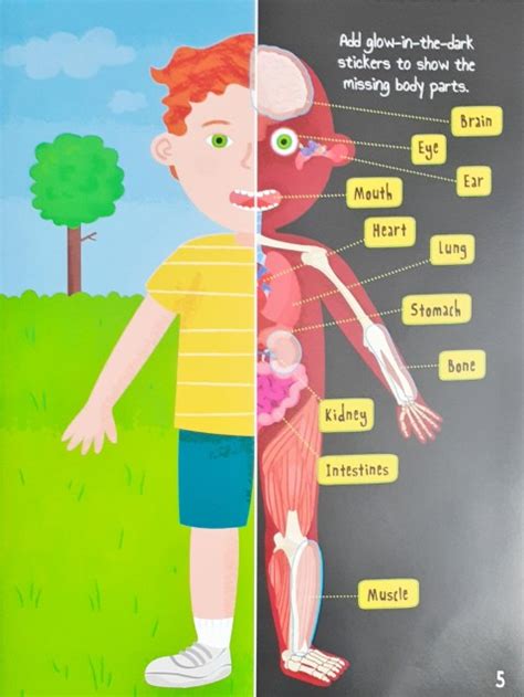 Know and Glow Human Body Sticker Activities – Books and You