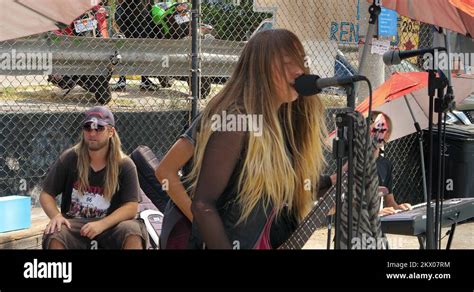 Singer 的图像结果