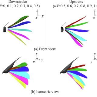 CFD Data Mapping in Techplot On Wing 的图像结果