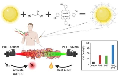 An Engineered Nanocomplex with Photodynamic and Photothermal ...