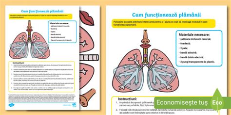 Cum funcționează plămânii – Experiment științific