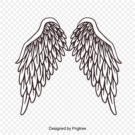 Angels Wing PNG Transparent, Vector Painted Feather Angel Wings, Wing ...