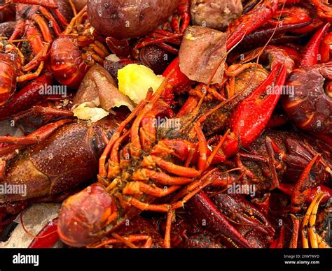 Louisiana Crawfish Boil Stock Photo - Alamy