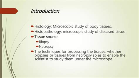 Tissue Processing 的图像结果