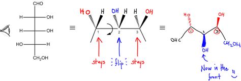 Image result for Fischer Projection Explained