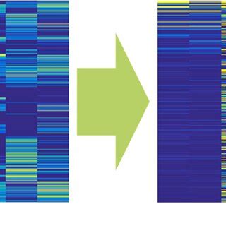Feature Extraction Using Wavelet Transform 的图像结果