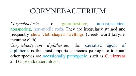 CORYNEBACTERIUM DIPHTHERIAE (Diphtheria) GPB.pptx