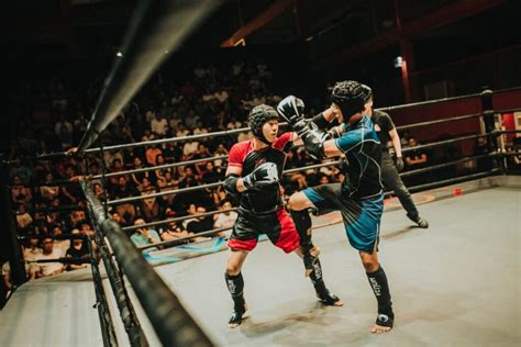 Boxing Sparring 的图像结果