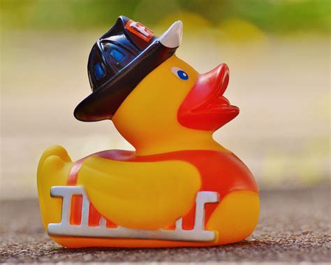 Download wallpaper 1280x1024 rubber duck, duck, toy standard 5:4 hd ...