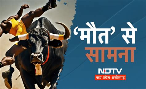 Bull Attack: सांड से भिड़ गया शराबी, मौके पर हो गई मौत, देखिए Viral ...