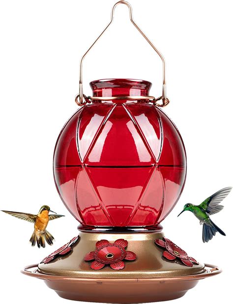 Birds Hummingbird Feeder