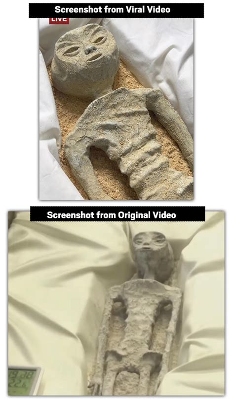 Fact Check: Mexico's 'Alien Corpse' being cut like a cake? Here are the ...