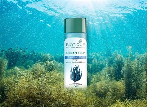 Ocean Kelp Anti Hair Fall Shampoo for Hair Growth | Biotique