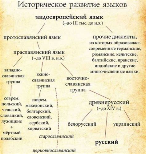 Кто придумал правила русского языка